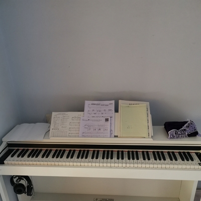 学琴真辛苦，这款卡瓦依电钢琴怎么样？是否合适呢？