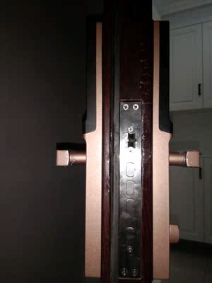 解说【销量第一】德施曼小嘀智能指纹锁怎么样，好不好用？