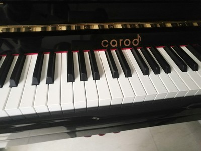 真实质量反馈Palatino帕拉天奴钢琴怎么样？评价好吗？