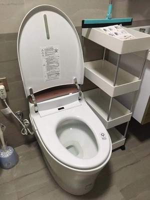 真实使用感受美标马桶质量怎么样，这个牌子是几线品牌的？好用吗？