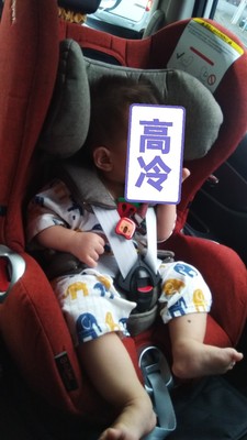 谁知道cybex sirona s安全座椅怎么样吗?质量揭露差不差?