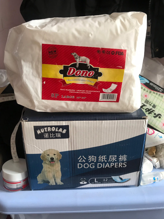 公狗纸尿裤中大型犬