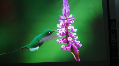 注意：极米n20和极米h3投影仪哪个好？有问题吗？