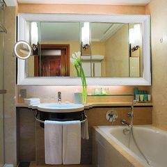 天鸿 个性现代简约 防水浴室镜子 卫浴镜 挂壁镜装饰镜 w3005