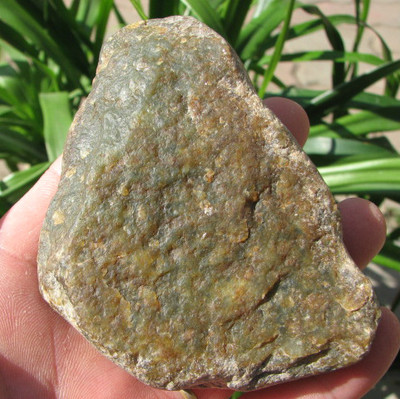 天然岫岩透闪石老玉形好板料褐皮绿肉河磨玉籽料原石批发 205g