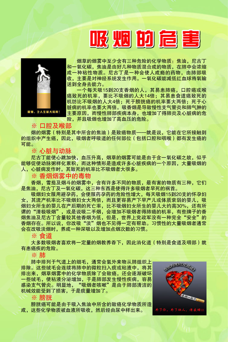 吸烟的危害展板