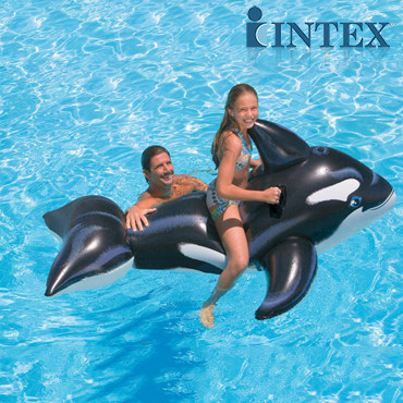 INTEX58561戲水大黑鯨坐騎 兒童充氣座騎 水上玩具 遊泳輔助工具 - 20233967938