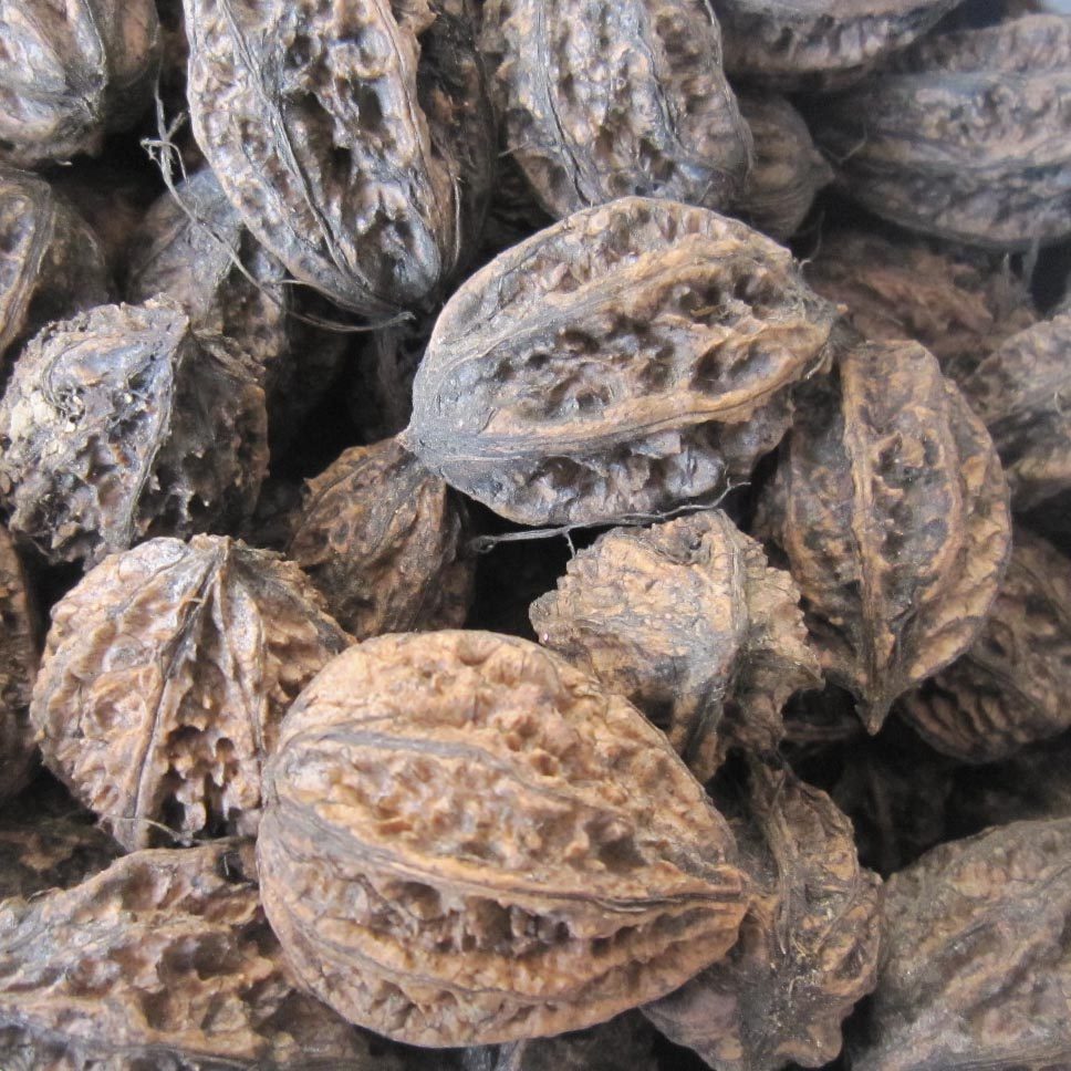 东北新款野生山高营养新货 生核桃 坚果零食 文玩核桃250g