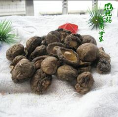 自家种 古田天然高山小香菇 冬菇 特级干货 500G  不熏药 特滑嫩