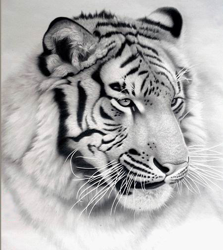 阁绣坊-2018定制圆钻钻石画客厅卧室餐厅丝线棉线印花十字绣老虎虎头