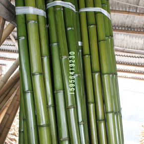 喷漆绿竹杆鲜竹子真竹杆防腐处理装饰竹竿橱窗装饰干竹竿厂家定做