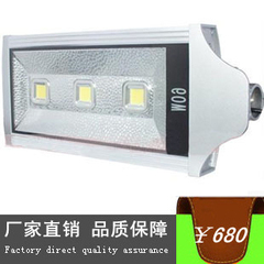 LED路灯头 60W 路灯外壳 LED工厂灯 LED篮球场灯 LED工矿灯 LED灯