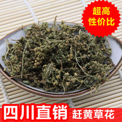 正品直销赶黄草花 茶叶 养生茶 中药材四川古蔺赶黄草花