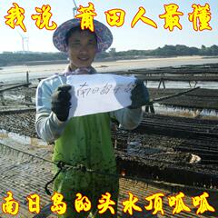 新货 福建特产台湾海峡莆田南日岛 自晒头水烤紫菜干货 海苔 半斤