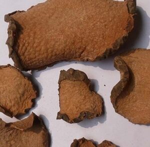 中药材黄药子黄独500g包邮零余薯金线吊虾蟆香芋黄狗头金钱吊蛋黄