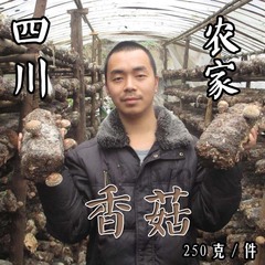 正宗椴木食用菌小香菇 500g特价包邮可批发 金钱姑冬姑250g件