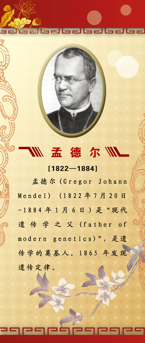 海报印制设计展板素材孟德尔德尔名人简介定制写真