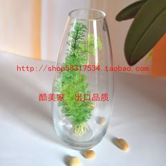 水晶玻璃花瓶 客厅摆件水培花器富贵竹 透明大肚收口花瓶包邮