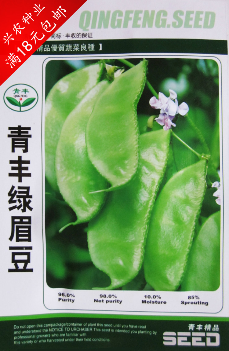 高产蔬菜种子 绿眉豆籽 美味扁豆 春秋抗性好易种植 原装约8粒