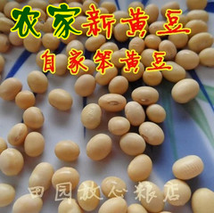 2016年新货农家笨黄豆 大豆 有机黄豆 豆浆专用豆 杂粮