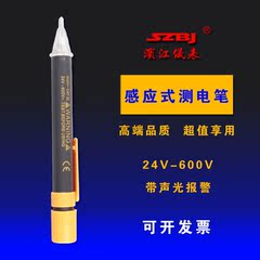 滨江CD-2多功能感应式测电笔非接触式试电笔声光报警24-600V