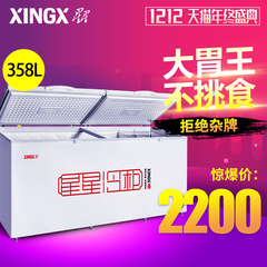 518 718 908 1288升 XINGX/星星 BD/BC-358C 大型商用冷冻柜冰柜