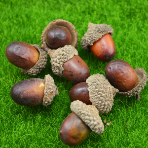 施王蚁馆 宠物蚂蚁饲养生态缸造景摆件 仿真橡果 长约2cm 5个