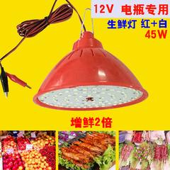 新品12V低压LED生鲜灯 熟食水果摆摊夜市电瓶灯泡红光 15W45W包邮