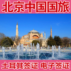 土耳其签证旅游电子签商务上海北京全国受理