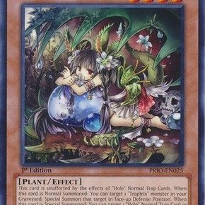 【卡之宝】美英 r 银字 蒂奥之虫惑魔 1刷 游戏王 prio-en025