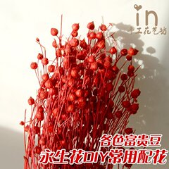 永生花DIY 礼盒花材 手工diy 富贵豆 保鲜花DIY