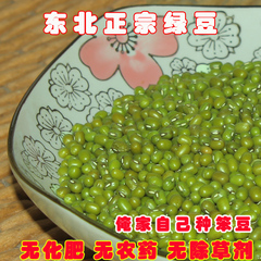 15年东北农家自产北特绿豆可发芽非转基因杂粮豆芽500g