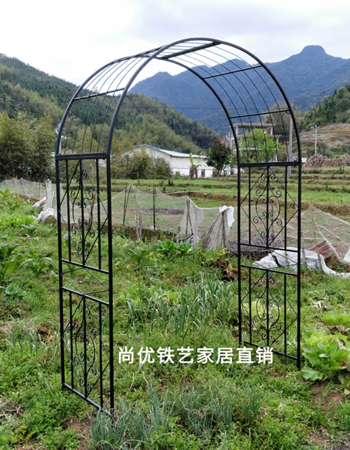 花园拱门铁艺花门爬架户外庭院藤本月季爬藤架铁艺花架爬藤架拱门