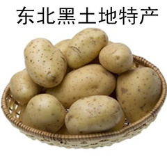 黑龙江寒地黑土特产土豆 马铃薯 885土豆 5斤以上包邮