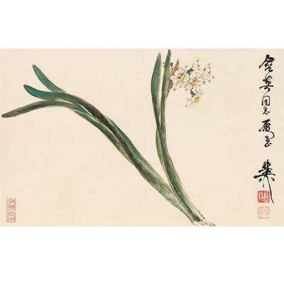 谢稚柳《兰花》28x45cm