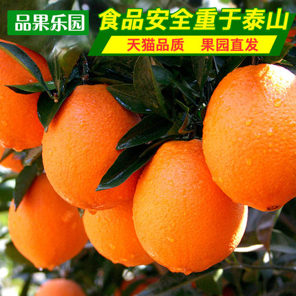 百货50条,全部都是实用的玩意儿,剁手党必备!(11.6) 淘宝优惠券