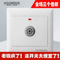 86雅典系列暗线声光控延时开关插座欧美日格电器厂家直销(白织灯)