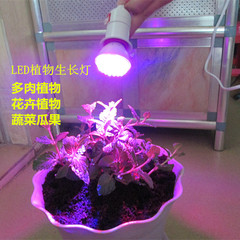 包邮LED植物生长灯补光灯 多肉植物 花卉红蓝光合作用灯 室内补光