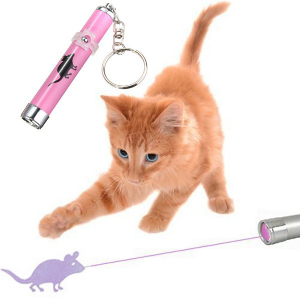 New Arrivals Creative and Funny Pet Cat Toys LED Laser Point|ruв категории цифровой фотоаппарат/зеркальные фотоаппараты/камера, пленочной камеры, Одноразовый фотоаппарат - от Buy2taobao.com для оказания профессиональной услуги покупки агента Taobao