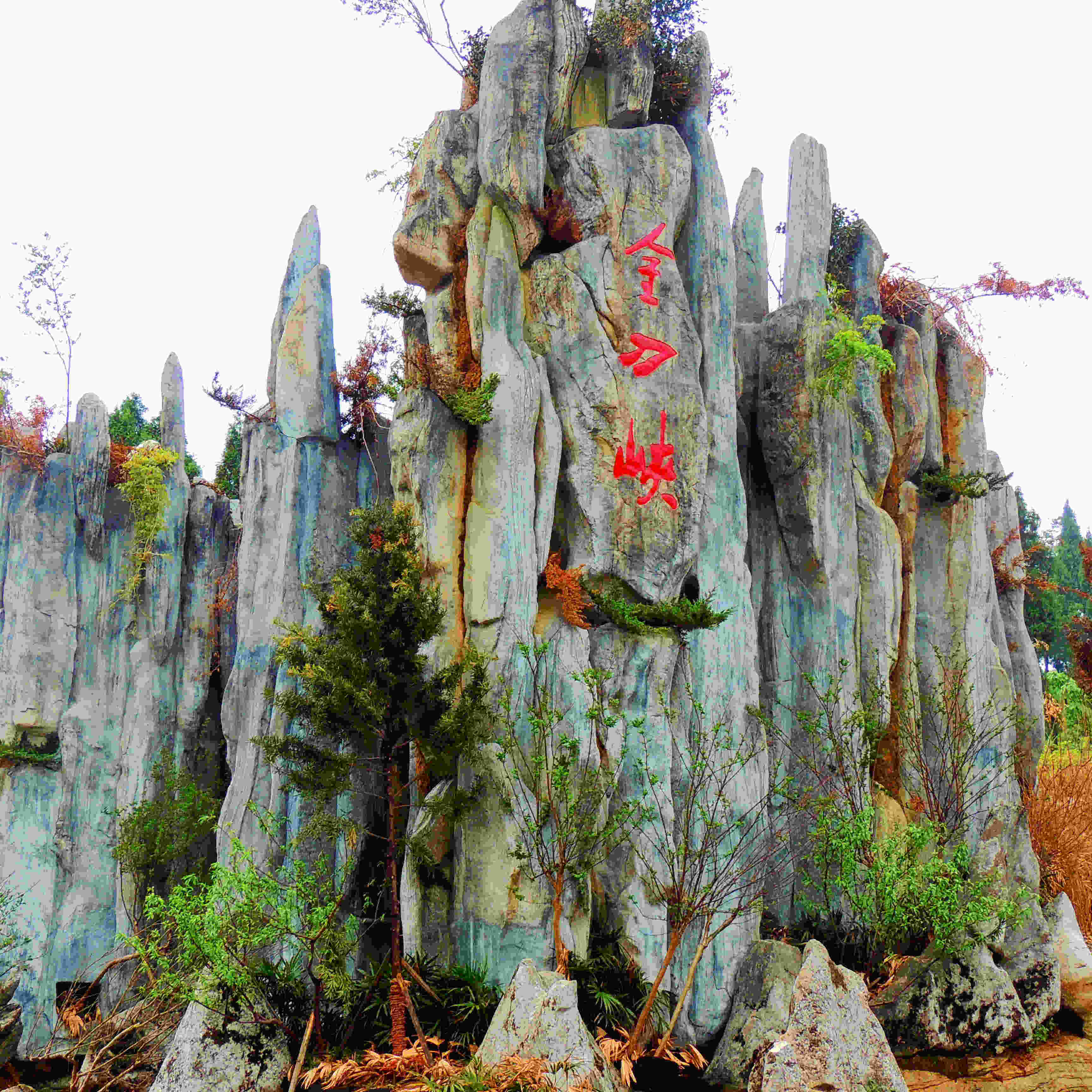 南京皮皮兔旅游专营店店铺简介-品牌旗舰店铺大全