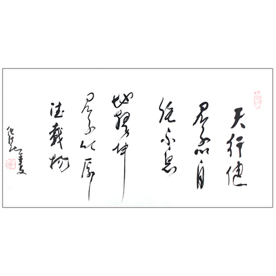 任法融《天行健》中国道教协会会长 中国道教学院院长 带合影