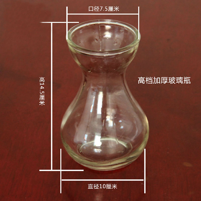 园艺用品玻璃花瓶 风信子玻璃水培瓶 水培瓶风信子专用 加厚型产品展示图1