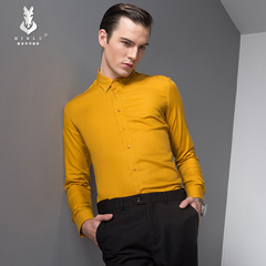 冬新款 男士长袖韩版修身纯棉衬衣  商务免烫扣领衬衫 金黄色