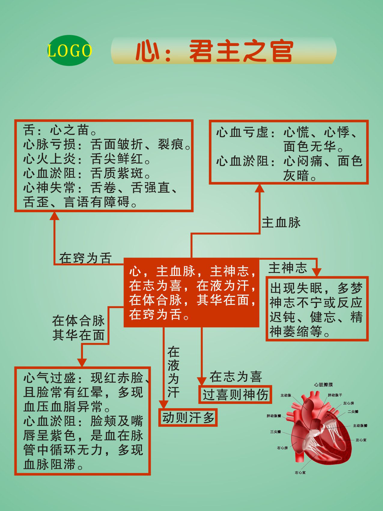 海报印制写真喷绘医院中医养生心肝肺脾君主之官写真