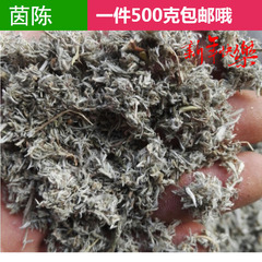 野生 茵陈 中药材 草药 绵茵陈 茵陈茶 棉茵陈 500克 绵陈棉陈