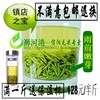 信阳毛尖2019新茶叶春茶散装雨前嫩芽250克绿茶茶农自产自销 信阳毛尖2019新茶叶春茶散装雨前嫩芽250克绿茶茶农自产自销