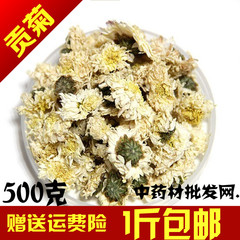 特级白菊花七月菊贡菊花500g包邮黄山贡菊花茶特价贡菊花茶叶