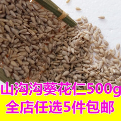 葵花籽仁 生 精选 葵瓜子 无壳 葵瓜子仁 粒大饱满生瓜子米500g