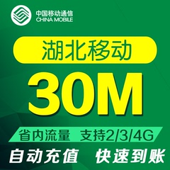 湖北移动流量30M省内手机流量叠加包支持2G3G4G当月有效