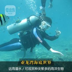 可订当日！海南三亚景点旅游 亚龙湾海底世界远海水域潜水票